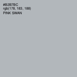 #B2B7BC - Pink Swan Color Image